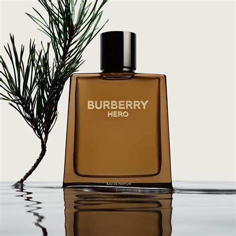 burberry male cologne|original burberry cologne for men.